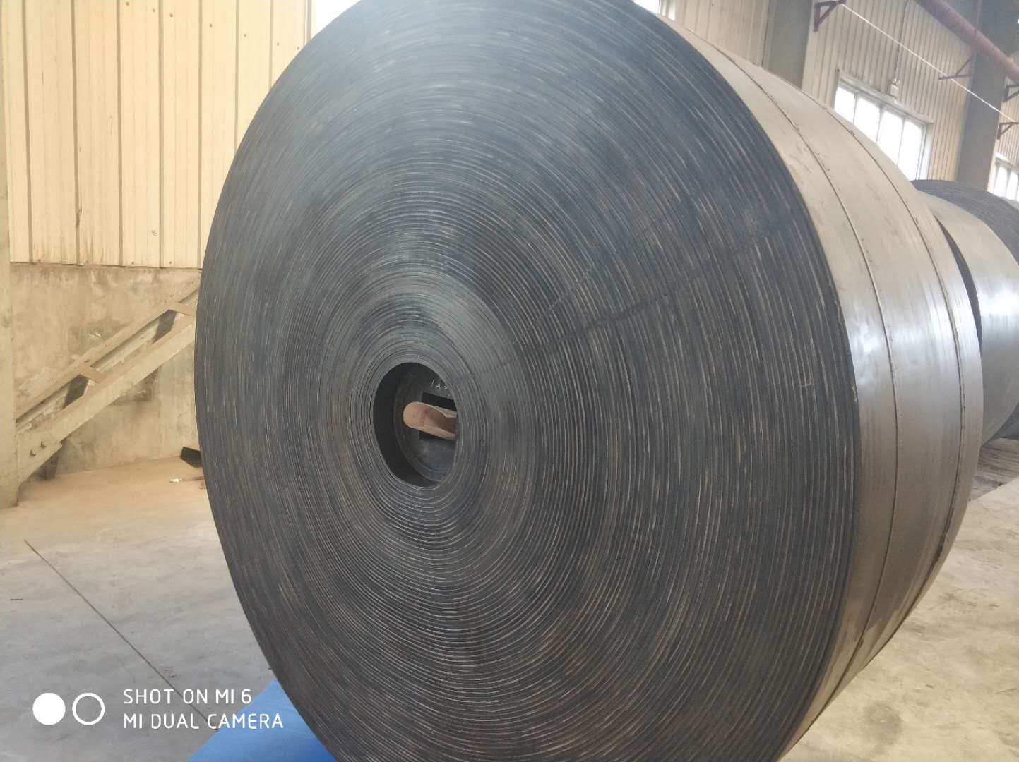 91免费看黄APP下载选择方式