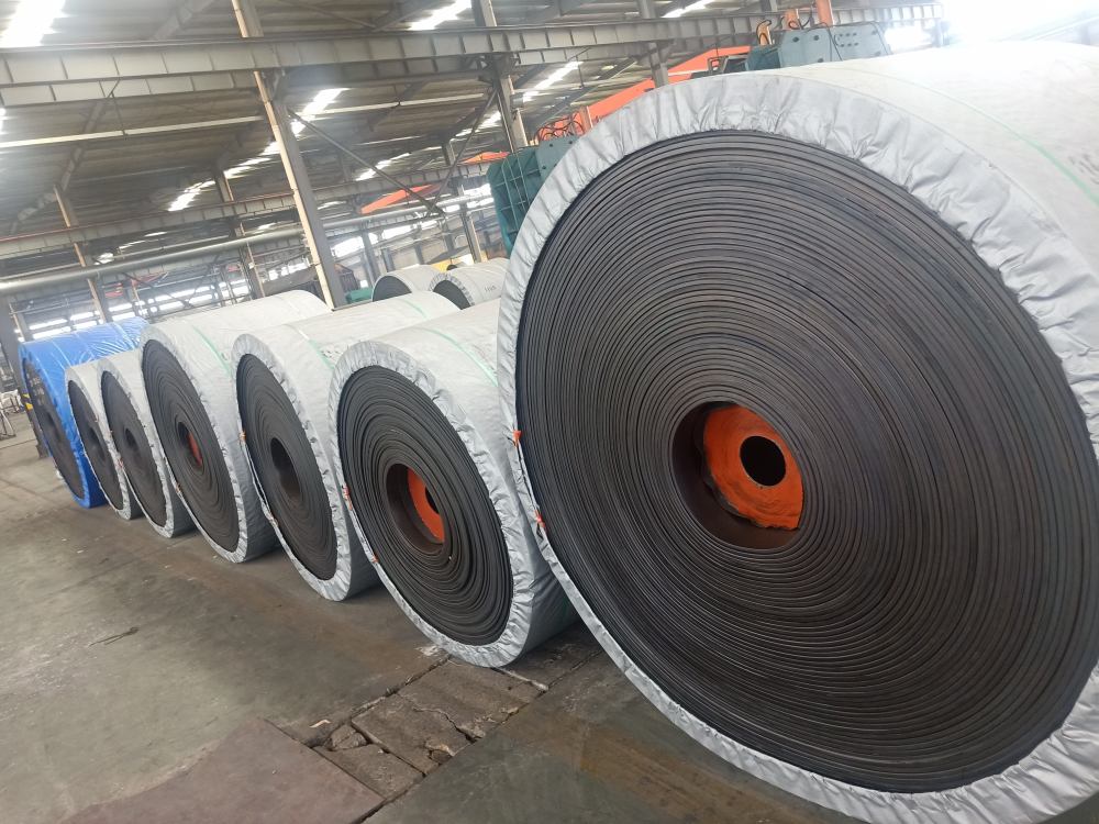 91免费观看网站详细介绍轻型输送带和91免费看黄APP下载有什么不同？